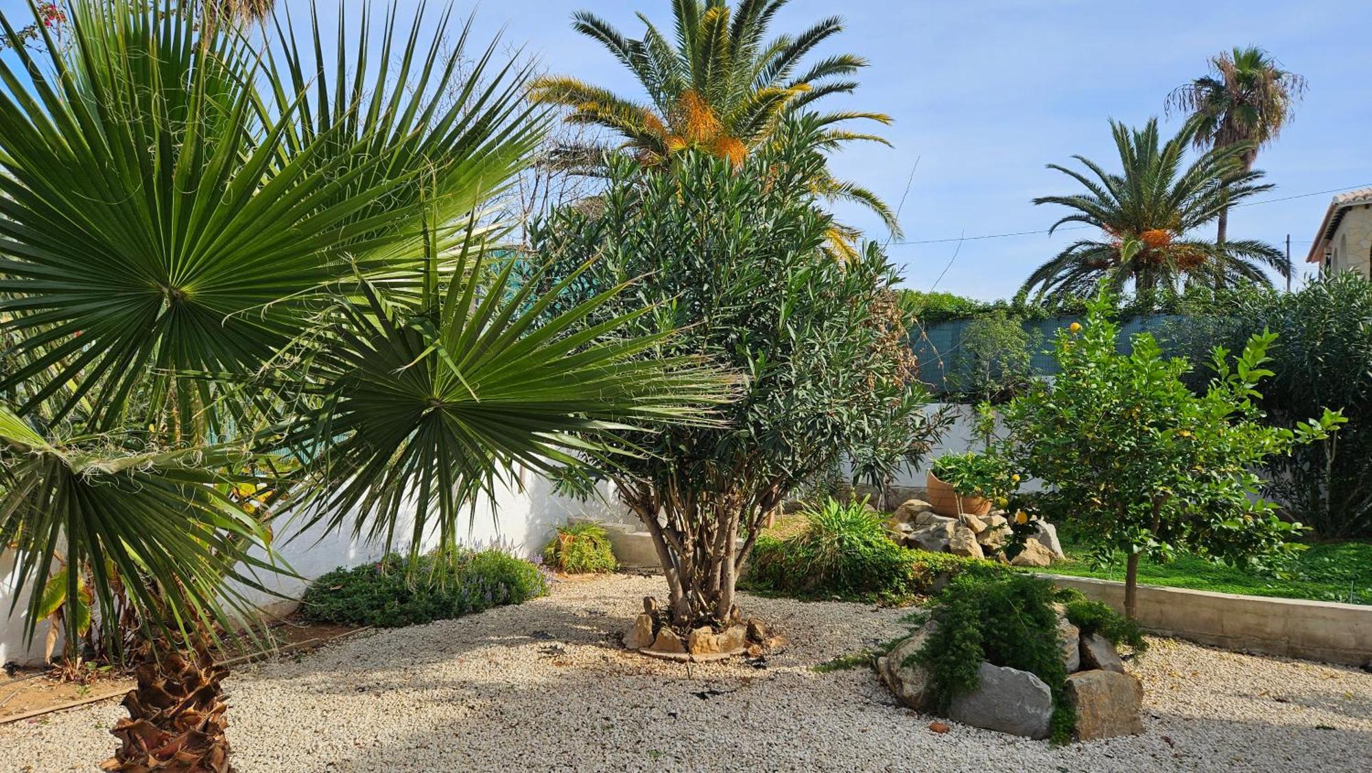 Villa Altomira à Dénia Extérieur photo
