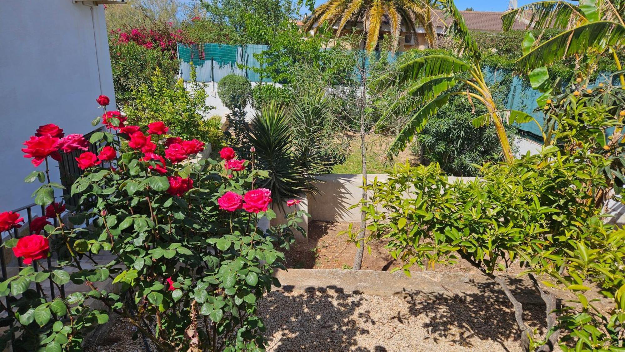 Villa Altomira à Dénia Extérieur photo