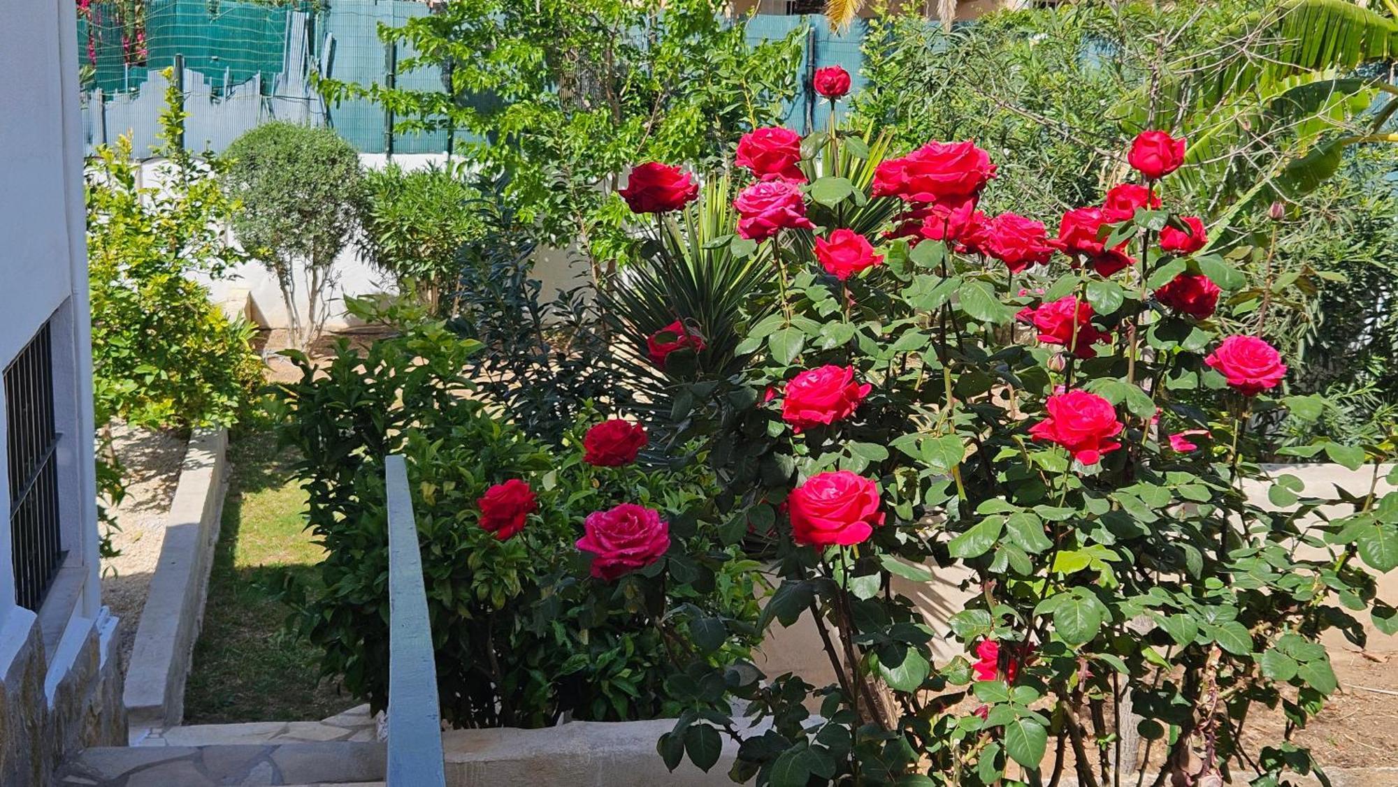 Villa Altomira à Dénia Extérieur photo